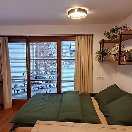 Apartment Vlach *